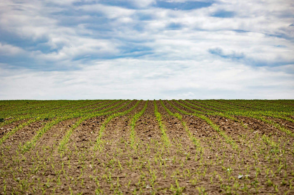 No momento e local certo: Como fazer aplicação em taxa variável de defensivos?